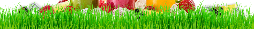 Beverages with different flavors and fruits on a grass, Generalbev.eu